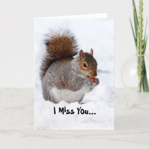 I Miss You Squirrel Greeting card