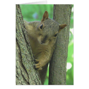 I Miss you Squirrel Photo Card