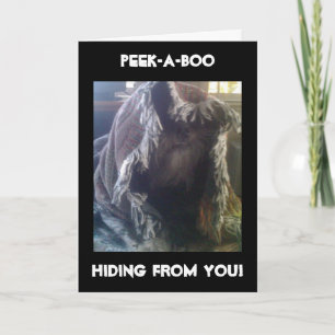 I MISSED YOUR BIRTHDAY SHAME ON ME CARD