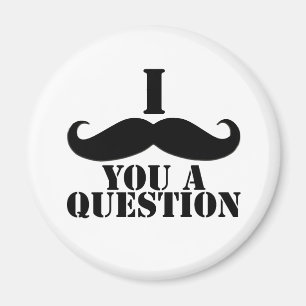 I Moustache You A Question Magnet