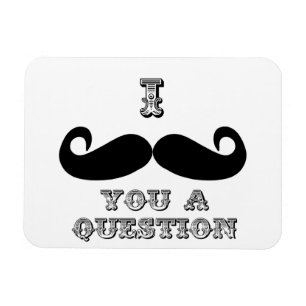 I Moustache You a Question Magnet