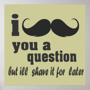 I moustache you a question poster