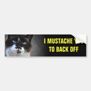 I Moustache You to Back Off Cat Bumper Sticker