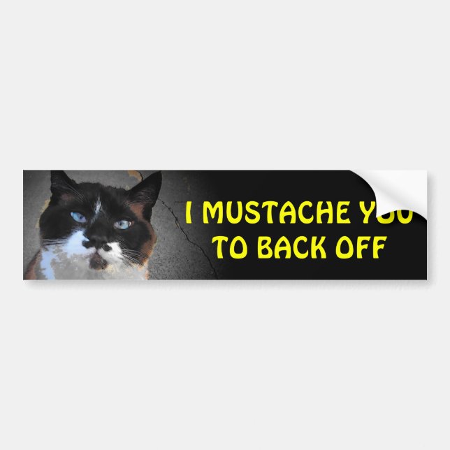 I Moustache You to Back Off (larger font) Bumper Sticker (Front)