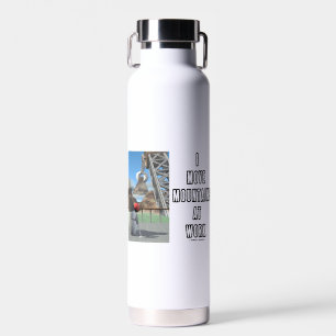 I Move Mountains At Work Software Developer Water Bottle