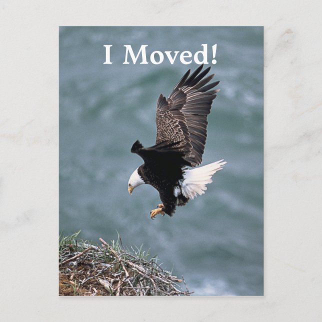 I Moved Eagle Announcement Postcard (Front)