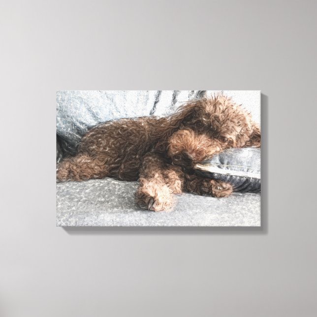 I ❤️ Naps Poodle Canvas Print (Front)