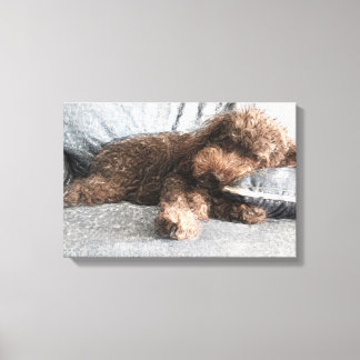 I ❤️ Naps Poodle Canvas Print