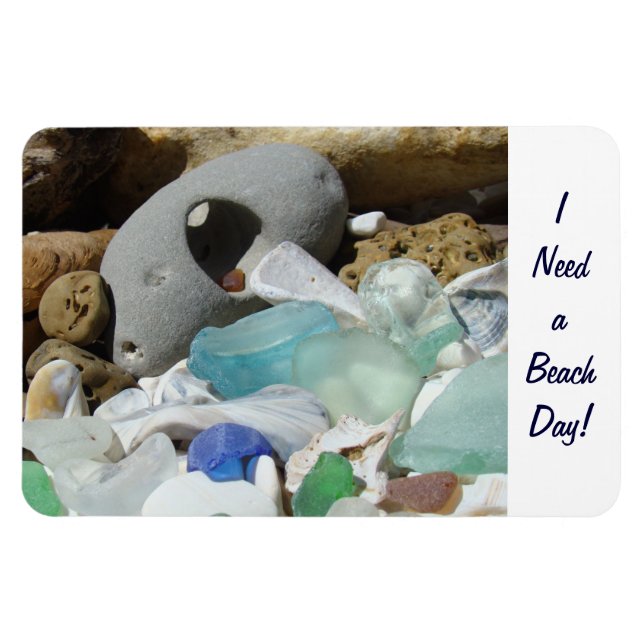 I Need a Beach Day! magnets Coast Seaglass Fossils (Horizontal)
