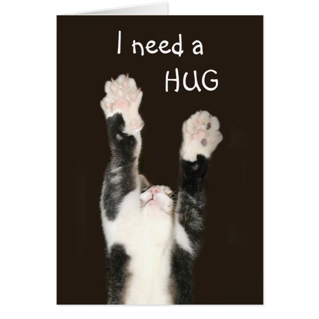 I need a hug cat (Front)
