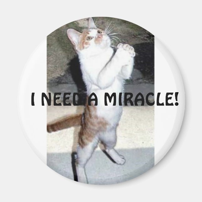 I NEED A MIRACLE! MAGNET (Front)
