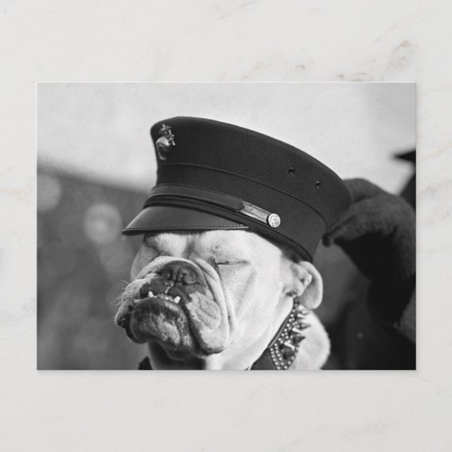 I Need a Nap: 1923 Postcard (Front)