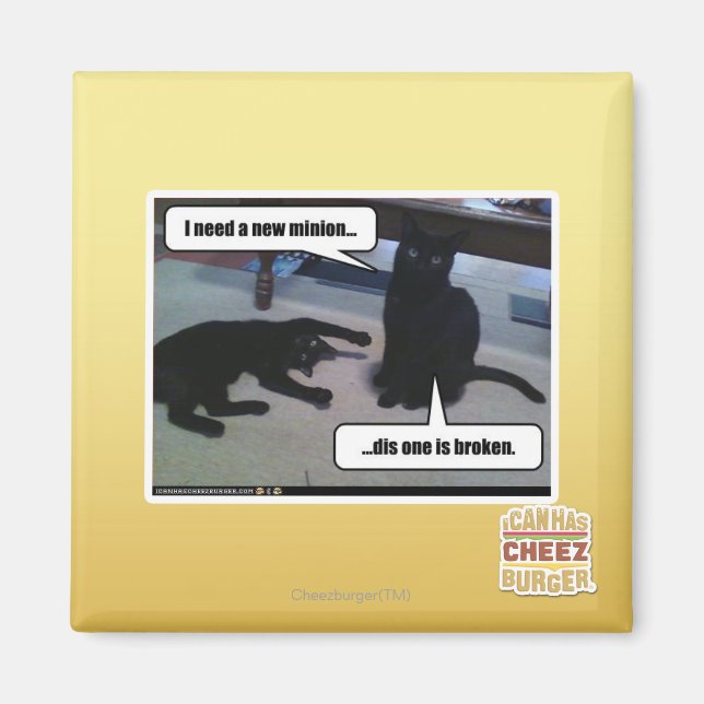 I need a new minion magnet (Front)