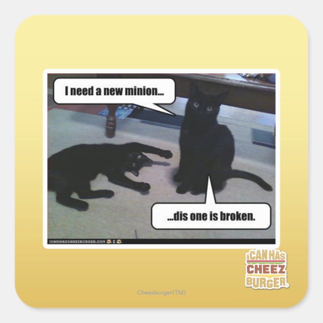 I need a new minion square sticker (Front)