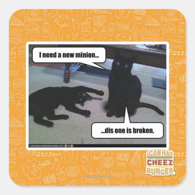 I need a new minion square sticker (Front)