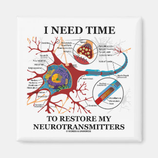 I Need Time To Restore My Neurotransmitters Magnet