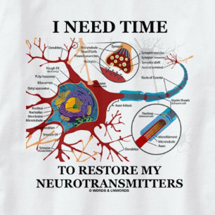 I Need Time To Restore My Neurotransmitters T-Shirt