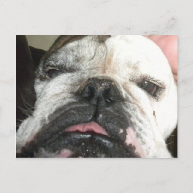 I need to quit drinking. postcard (Front)