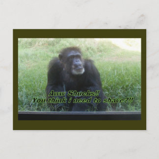 I need to shave?? postcard
