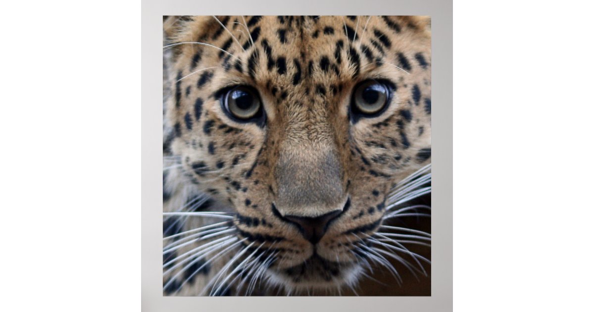 I Need You... Poster | Zazzle