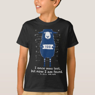 I Once Was Lost But Now I Am Found Luke 15_10, She T-Shirt