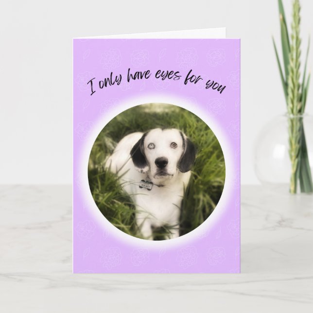 I only have eyes for you cute dog Valentine Card (Front)