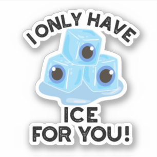 I Only Have Ice For You Funny Eye Pun 