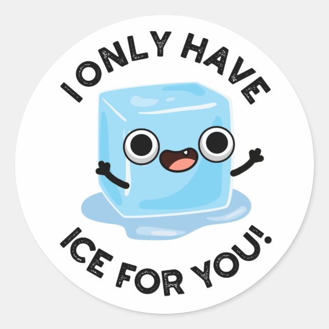 I Only Have Ice For You Funny Ice Cube Pun  Classic Round Sticker (Front)