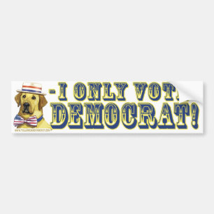 I Only Vote Yellow Dog Democrat  Bumper Sticker 