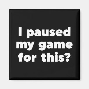 I paused my game for this? magnet