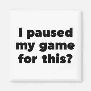 I paused my game for this? magnet