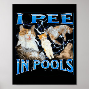 I Pee In Ols Funny Offensive Cat Meme Bootleg Grap Poster