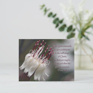 I Peter 4:13 Inspirational Floral Postcard