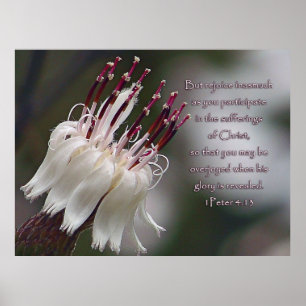 I Peter 4:13 Inspirational Floral Poster
