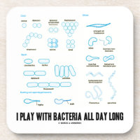 I Play With Bacteria All Day Long (Morphology)