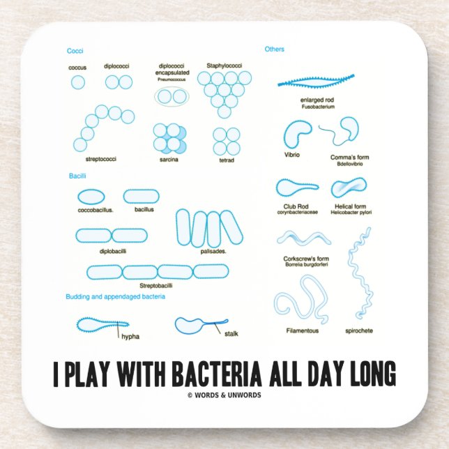 I Play With Bacteria All Day Long (Morphology) Coaster (Front)