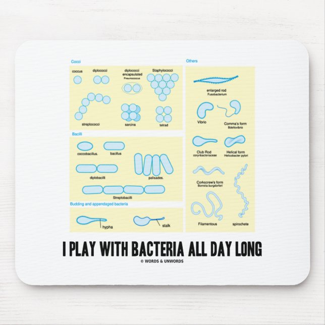 I Play With Bacteria All Day Long (Morphology) Mouse Mat (Front)