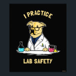 I Practice Lab Safety Poster<br><div class="desc">"I Practice Lab Safety" dog graphic designed by bCreative shows a golden labrador in a laboratory! This makes a great gift for family, friends, or a treat for yourself! This funny graphic is a great addition to anyone's style. bCreative is a leading creator and licensor of original, trendy designs and...</div>