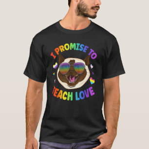 I Promise to Teach Love Rainbow Colored LGBT Cat T-Shirt