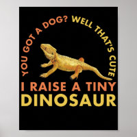 I Raise A Tiny Dinosaur Lizard Reptiles