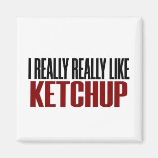 I Really Like Ketchup Funny Yum Food Magnet