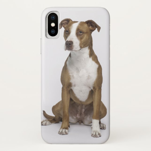 I Really Love Dogs Iphone X Case (Back)