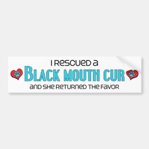 I Rescued a Black Mouth Cur (Female Dog) Bumper Sticker