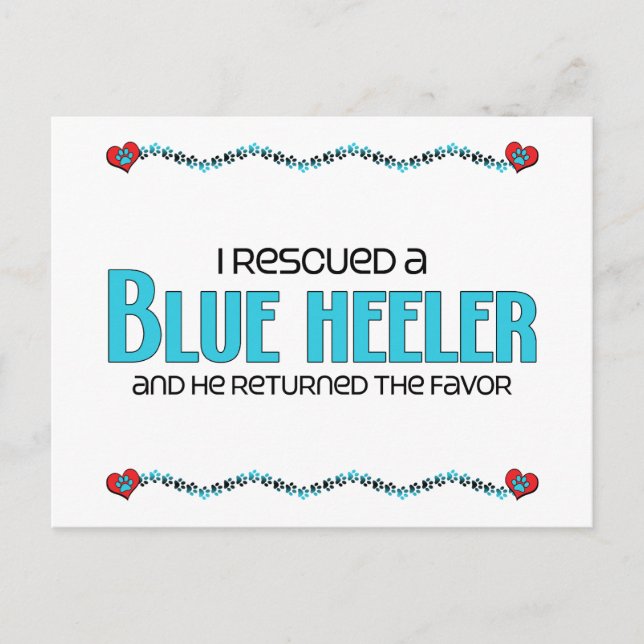 I Rescued a Blue Heeler (Male Dog) Postcard (Front)