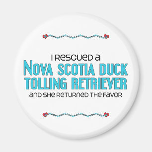 I Rescued a Duck Tolling Retriever (Female Dog) Magnet