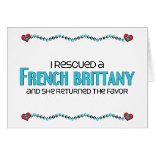 I Rescued a French Brittany (Female Dog)