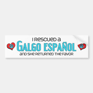 I Rescued a Galgo Español (Female Dog) Bumper Sticker
