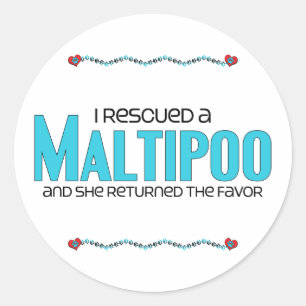 I Rescued a Maltipoo (Female) Dog Adoption Design Classic Round Sticker