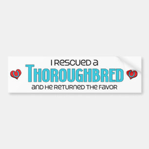 I Rescued a Thoroughbred (Male Horse) Bumper Sticker