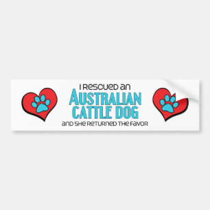 I Rescued an Australian Cattle Dog (Female Dog) Bumper Sticker